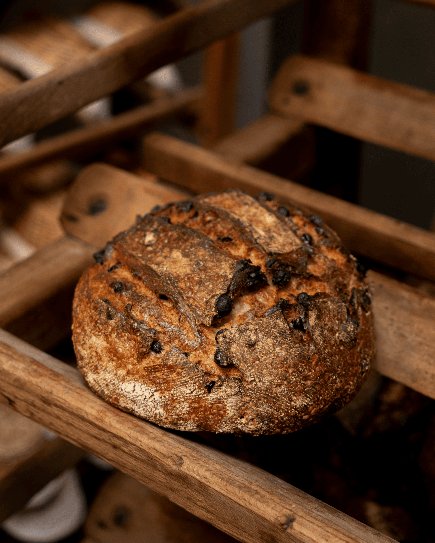 abrikoos-amandelbrood (580g)